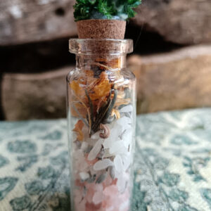 Spell Jar Equilibrio y Armonía