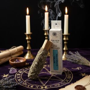 Stick Palo Santo Salvia Blanca